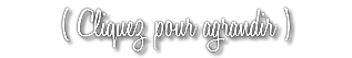 ( Cliquez pour agrandir )